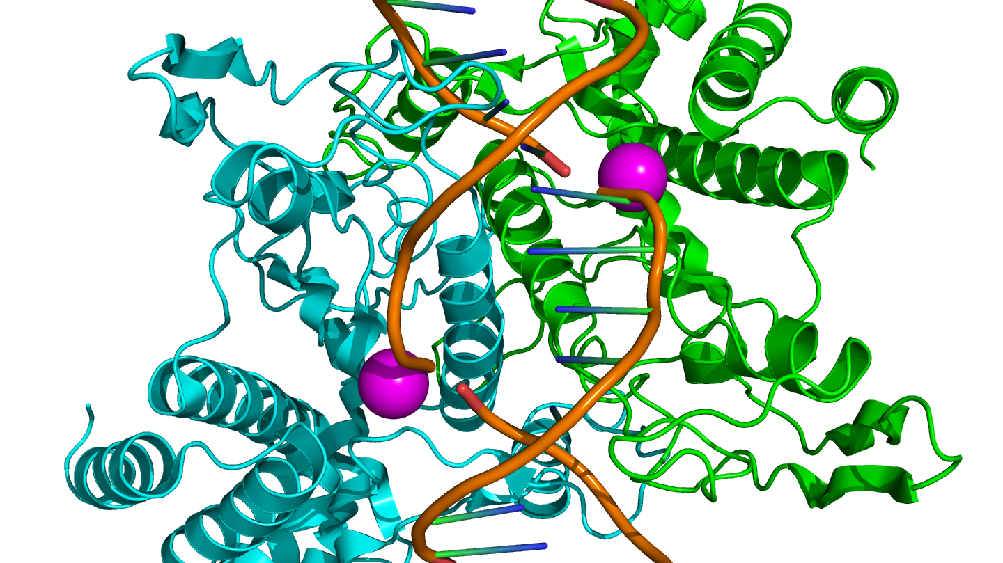 Think Restriction Enzymes Are So Last Decade Not So Fast Promega   1QPS 1 