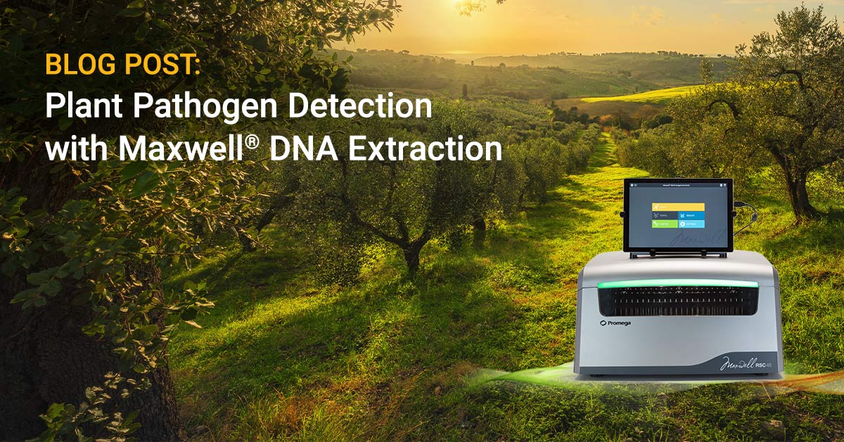 Fighting Plant Pathogens Worldwide with the Maxwell® RSC PureFood GMO