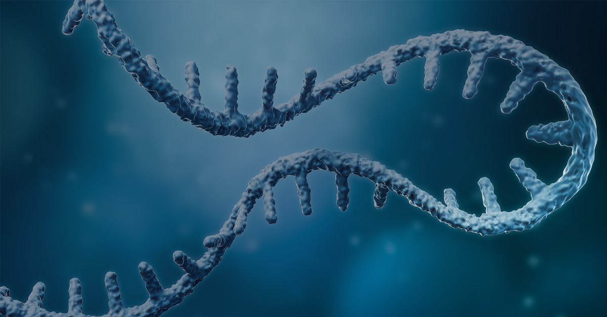 LncRNA: The Long and Short of “Junk RNA” - Promega Connections