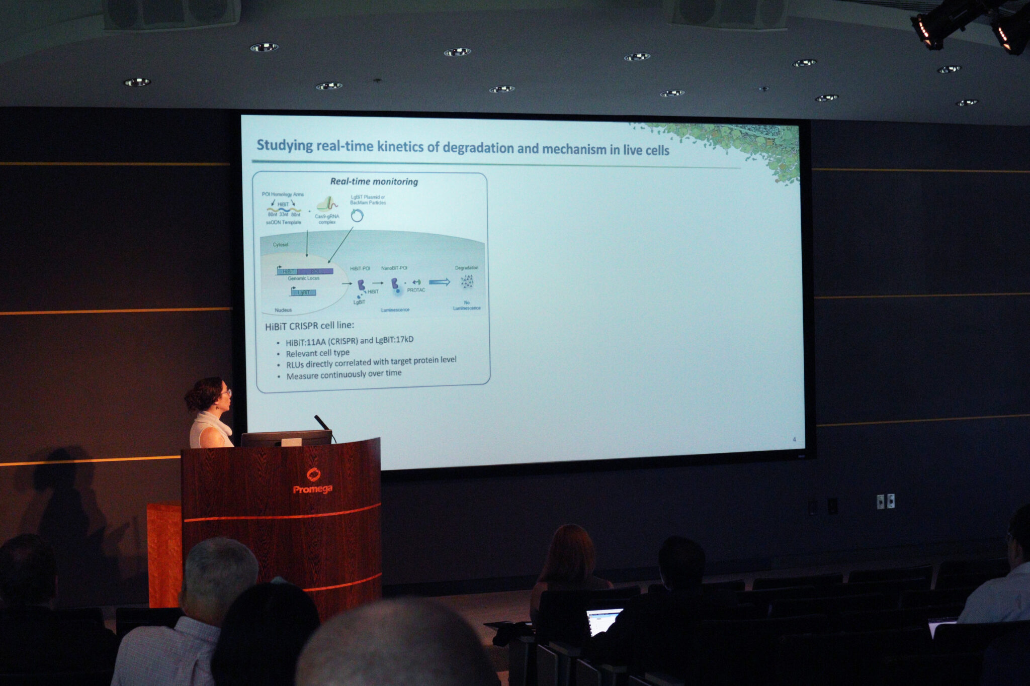 Inside the First Promega Targeted Protein Degradation Symposium ...