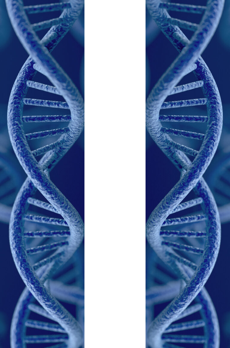 Left Handed DNA Is That Right ISHI News   Helix Comparison 768x1162 