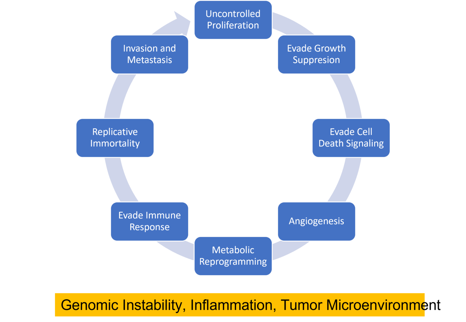 conversations-nerve-tumor-crosstalk-in-the-tumor-microenvironment