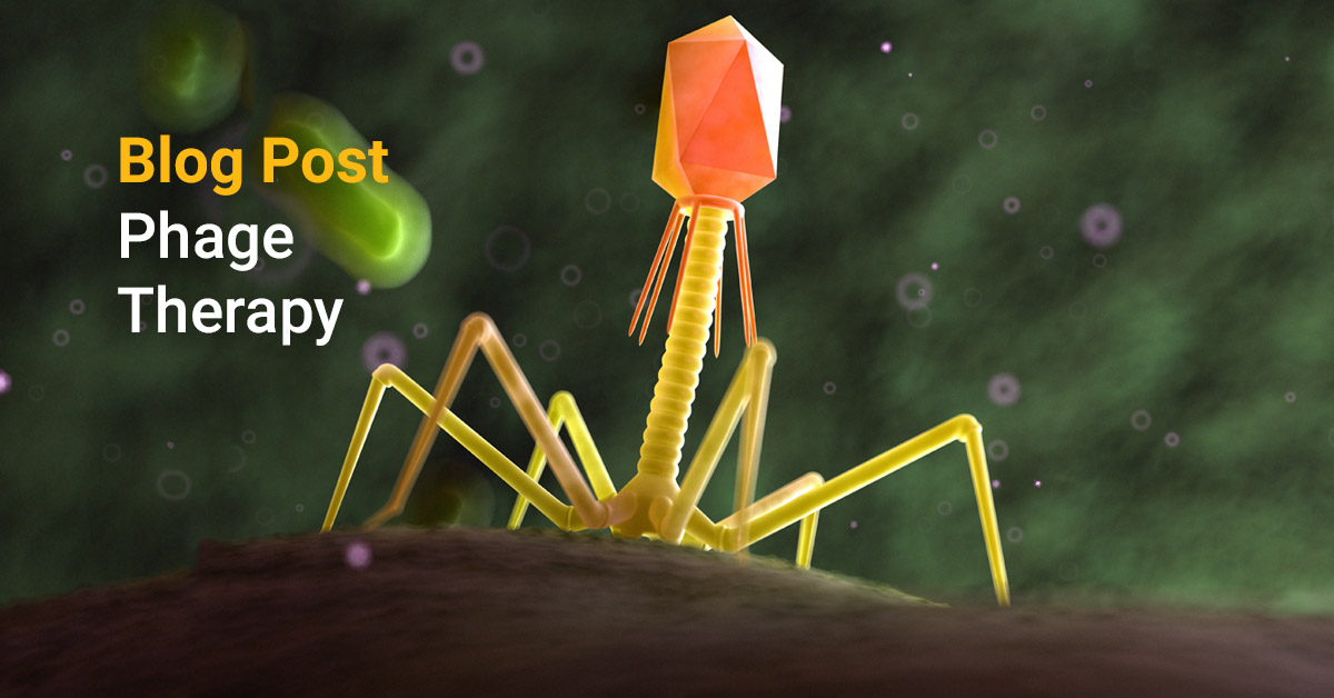 Phage Therapy Meeting the Challenge of DrugResistant Bacterial