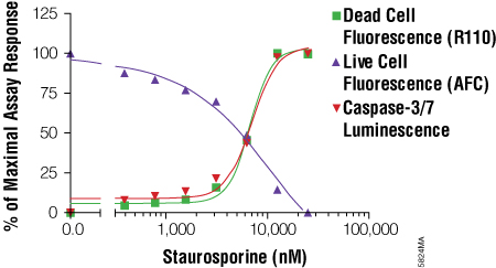 data from a multiplex cell based assay experiment wsing the MultiTox-Fluor Multiplex Cytotoxicity Assay with the Caspase-Glo® 3/7 Assay for a triplex assessment in an apoptosis model system.