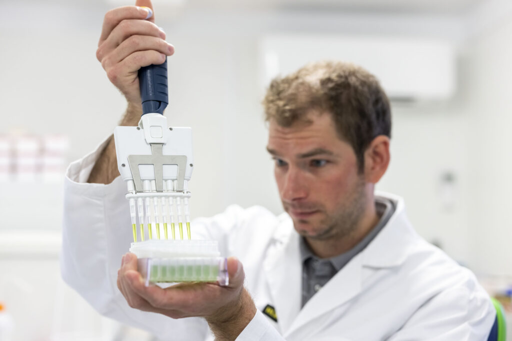 Scientist pipetting into a multi well plate