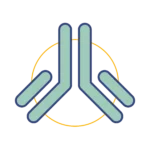 Monoclonal antibody icon. Monoclonal antibodies are used in immunotherapy in veterinary medicine