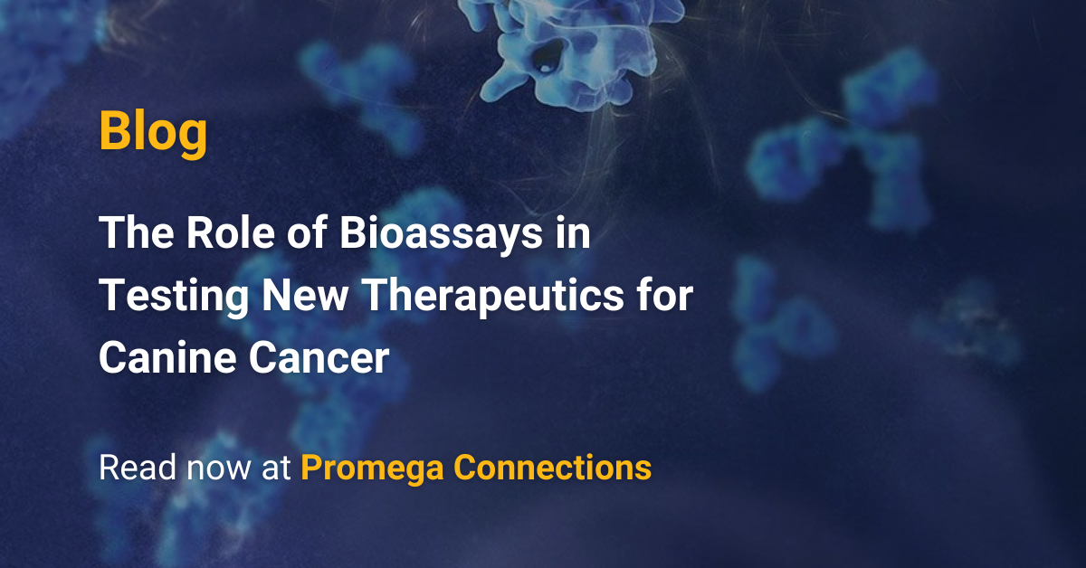 The Role of Bioassays in Testing New Therapeutics for Canine Cancer