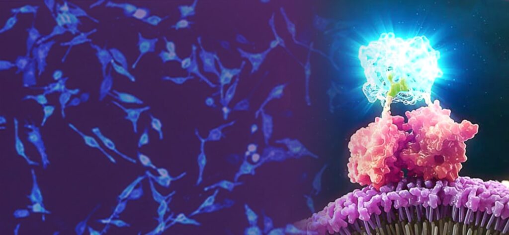 luminescent cells behind a molecular structure