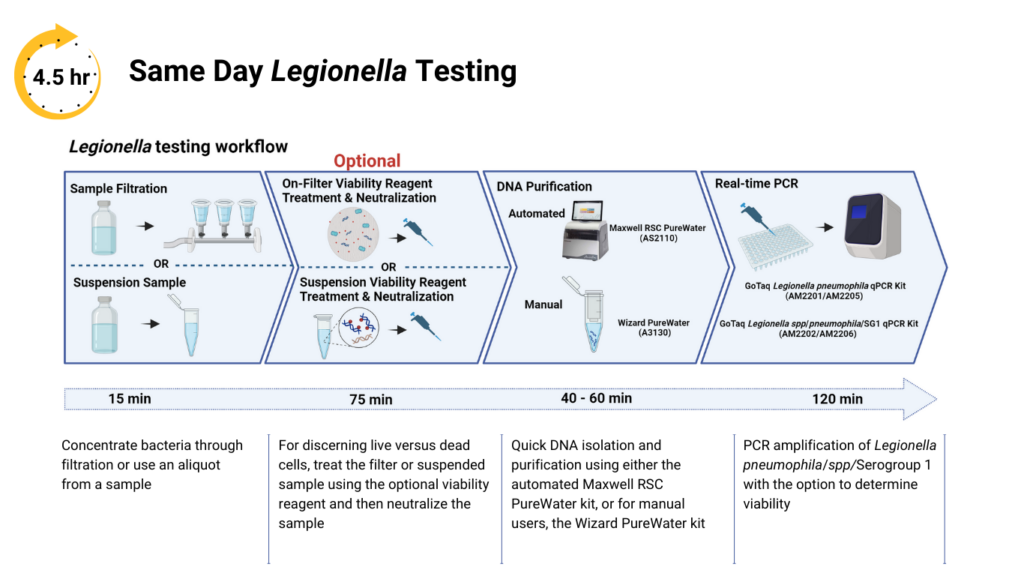 Workflow for Legionella testing with PCR Viability kits at Promega. Top section includes each step in the workflow: gathering the sample, sample neutralization, DNA purification, and real-time PCR. Below the workflow image is time for each step and a description of each step. 