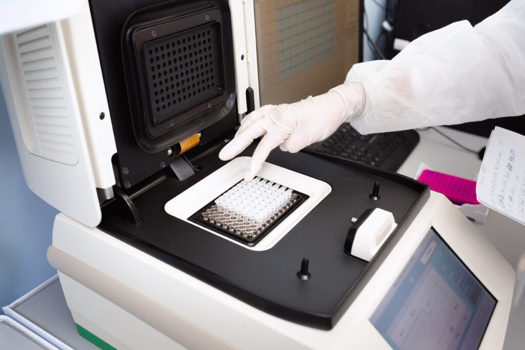 qPCR amplification in thermocycler 